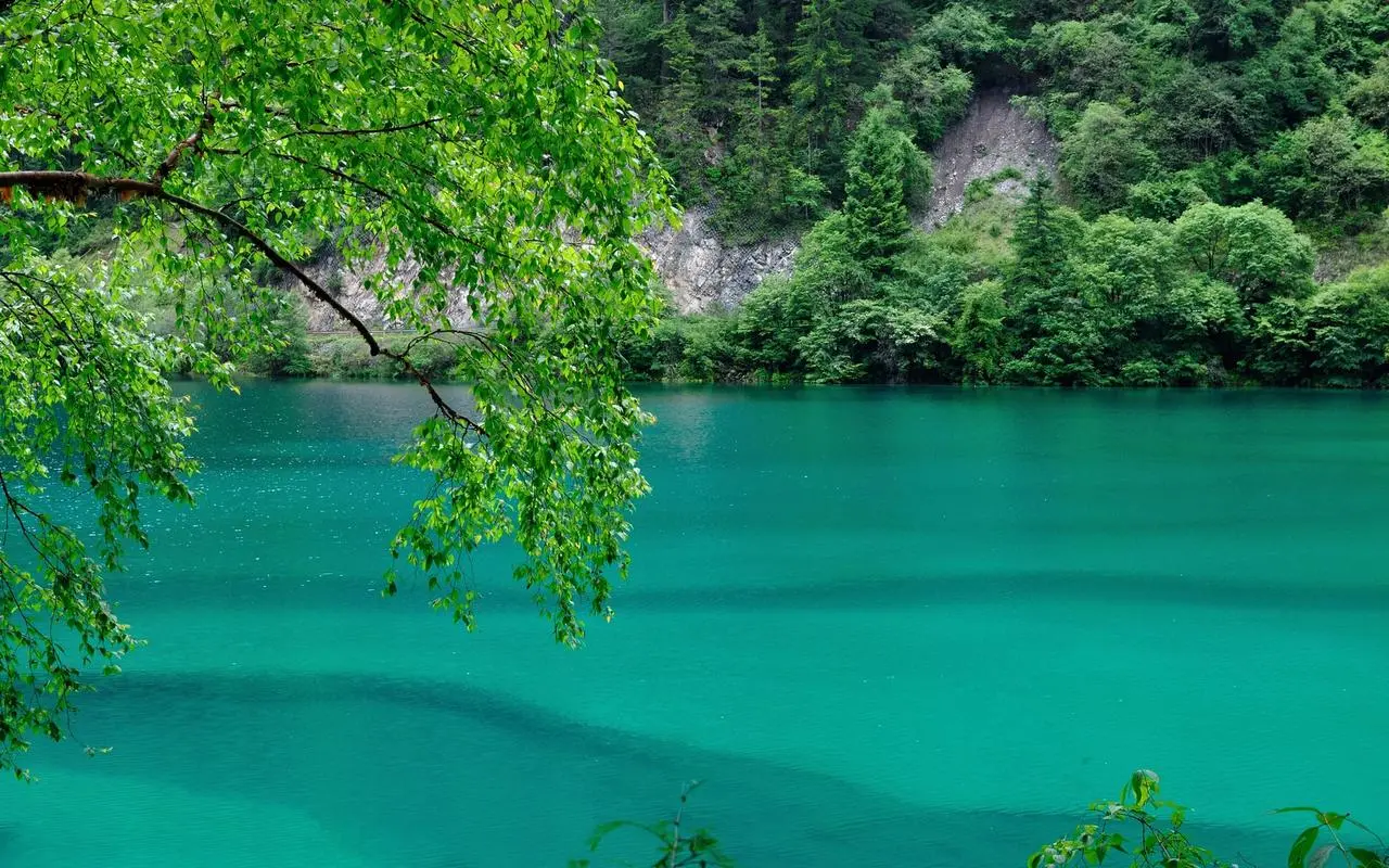 高性能高性能高端